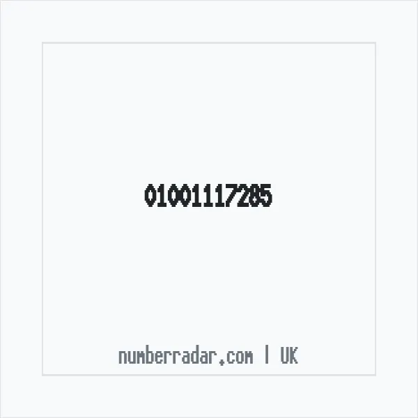 Reverse number check for +44 1001 117285 — who called me?