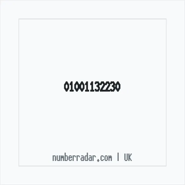 Reverse number check for +44 1001 132230 — who called me?