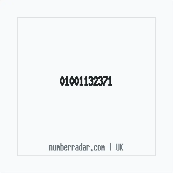 Reverse number check for +44 1001 132371 — who called me?