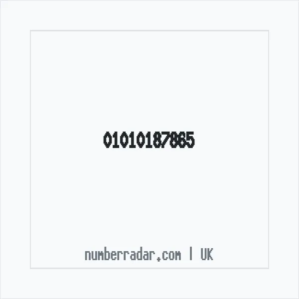 Reverse number check for +44 1010 187865 — who called me?