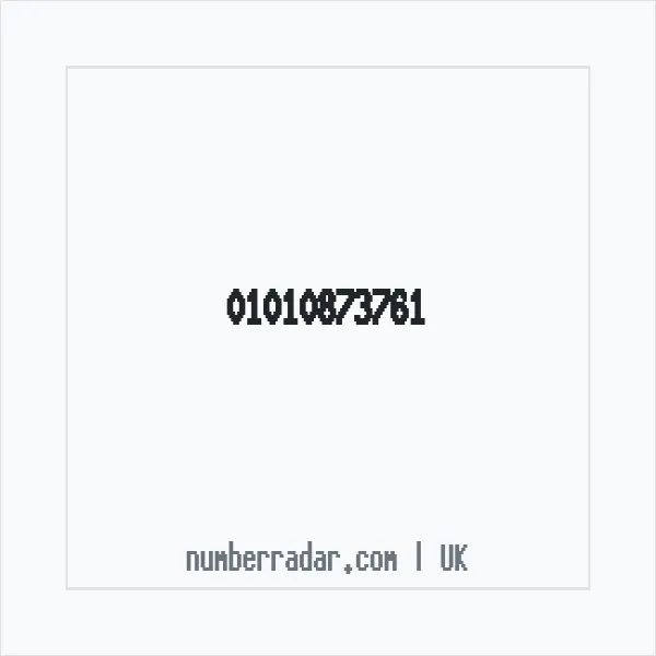 Reverse number check for +44 1010 873761 — who called me?