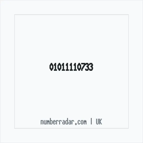 Reverse number check for +44 1011 110733 — who called me?