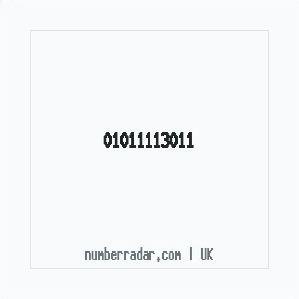 Reverse number check for +44 1011 113011 — who called me?