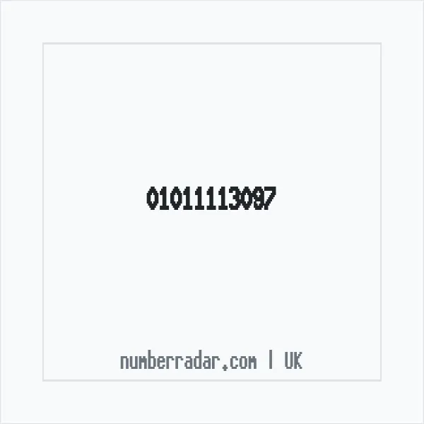 Reverse number check for +44 1011 113097 — who called me?