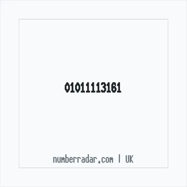 Reverse number check for +44 1011 113161 — who called me?