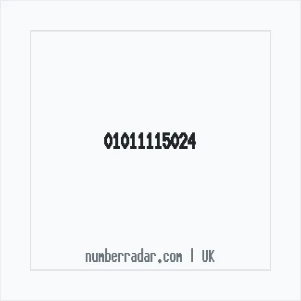 Reverse number check for +44 1011 115024 — who called me?