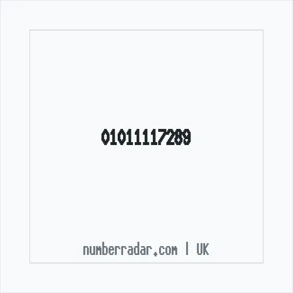 Reverse number check for +44 1011 117289 — who called me?