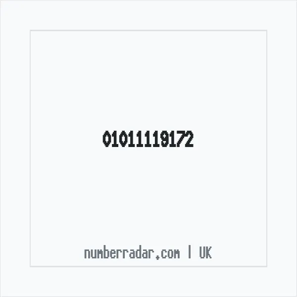 Reverse number check for +44 1011 119172 — who called me?