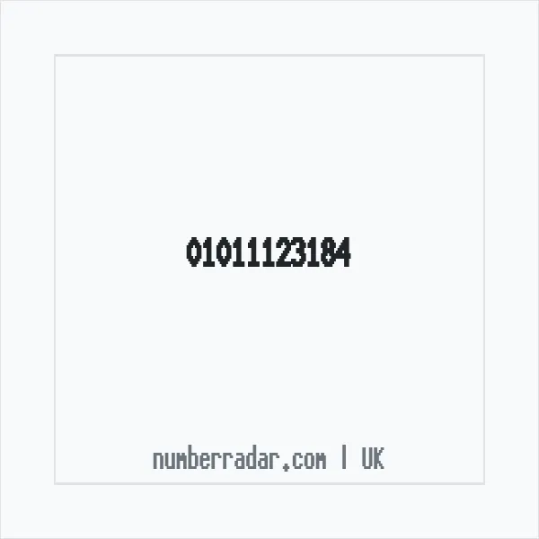 Reverse number check for +44 1011 123184 — who called me?