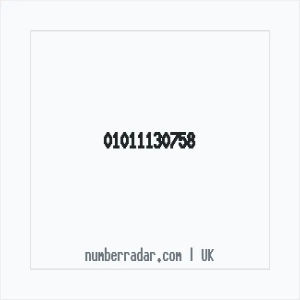 Reverse number check for +44 1011 130758 — who called me?