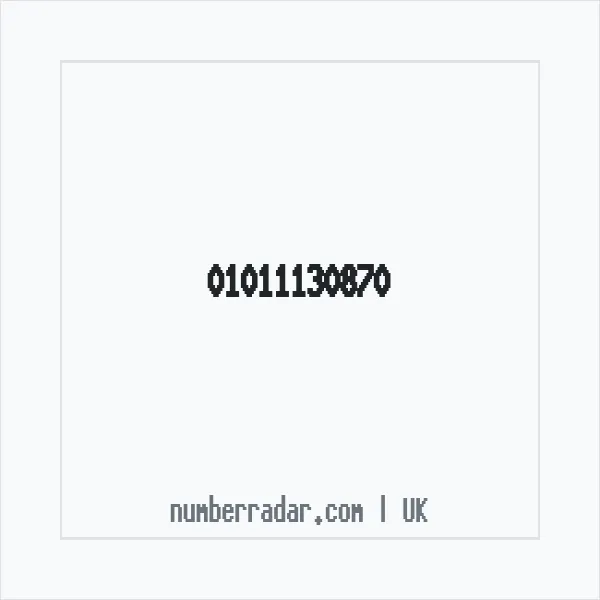 Reverse number check for +44 1011 130870 — who called me?