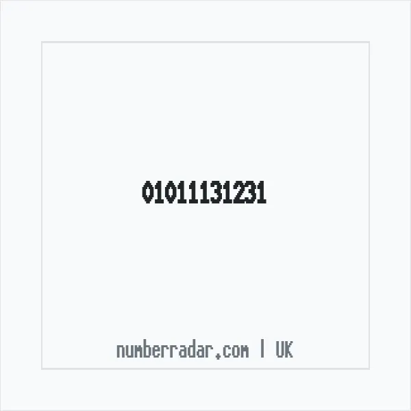 Reverse number check for +44 1011 131231 — who called me?
