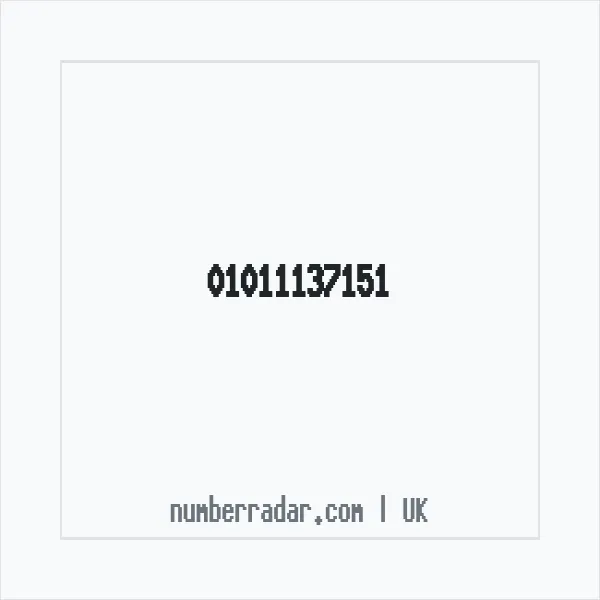 Reverse number check for +44 1011 137151 — who called me?