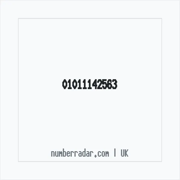 Reverse number check for +44 1011 142563 — who called me?