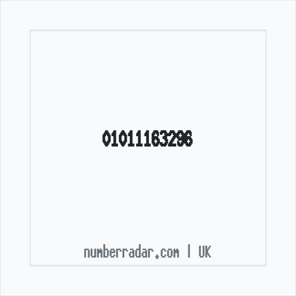 Reverse number check for +44 1011 163296 — who called me?