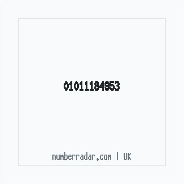 Reverse number check for +44 1011 184953 — who called me?