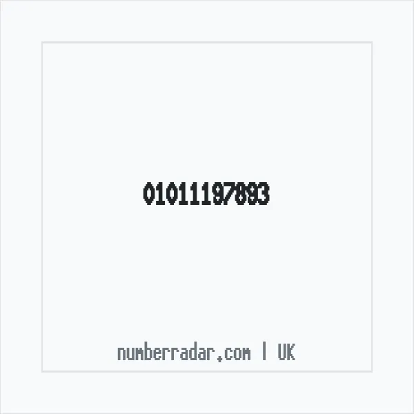 Reverse number check for +44 1011 197893 — who called me?