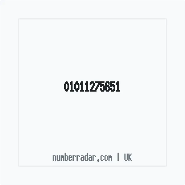 Reverse number check for +44 1011 275651 — who called me?