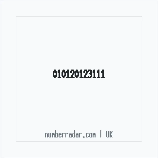 Reverse number check for +44 (1012) 012-311 — who called me?