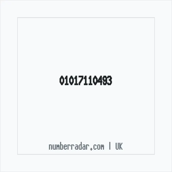 Reverse number check for +44 1017 110493 — who called me?