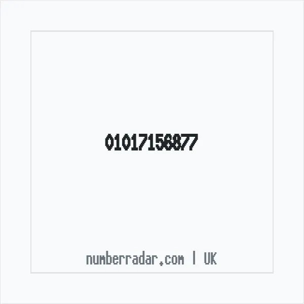 Reverse number check for +44 1017 156877 — who called me?