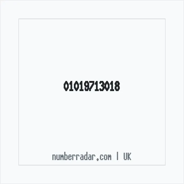 Reverse number check for +44 1019 713018 — who called me?