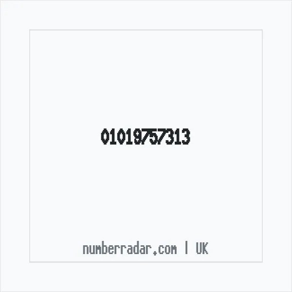 Reverse number check for +44 1019 757313 — who called me?