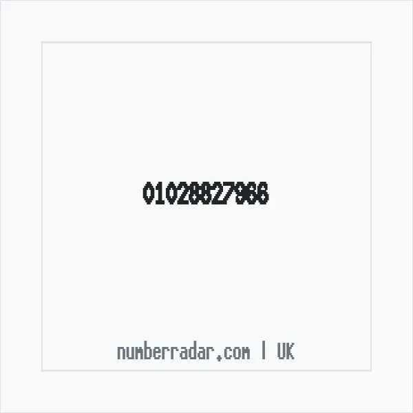 Reverse number check for +44 1028 827966 — who called me?