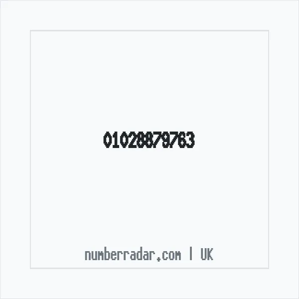 Reverse number check for +44 1028 879763 — who called me?