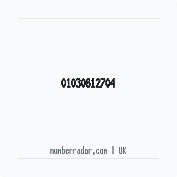 Reverse number check for +44 1030 612704 — who called me?