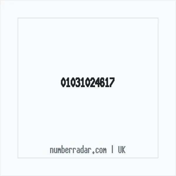Reverse number check for +44 1031 024617 — who called me?