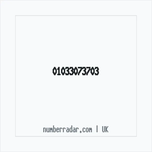 Reverse number check for +44 1033 073703 — who called me?