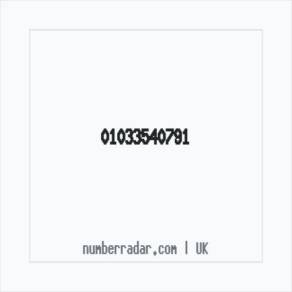 Reverse number check for +44 1033 540791 — who called me?
