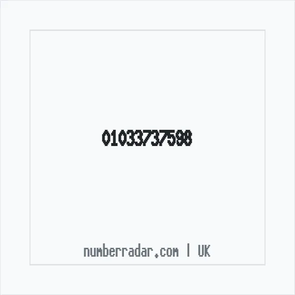 Reverse number check for +44 1033 737598 — who called me?