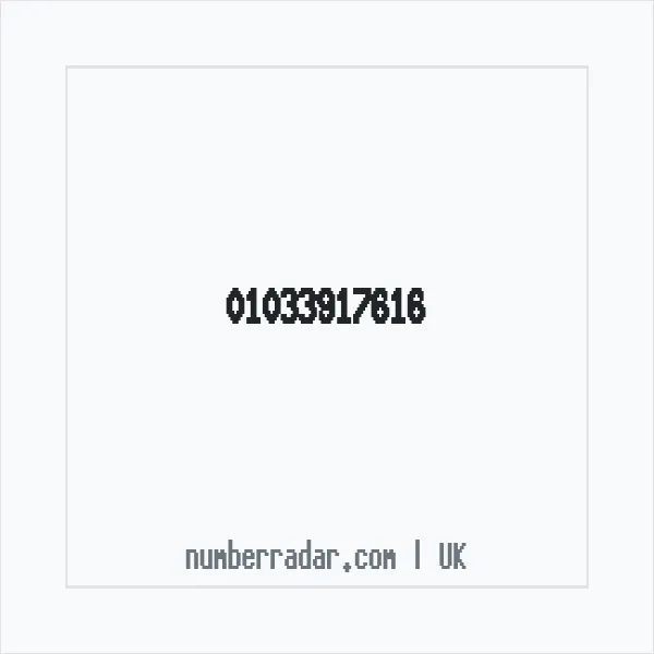 Reverse number check for +44 1033 917616 — who called me?