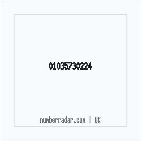 Reverse number check for +44 1035 730224 — who called me?