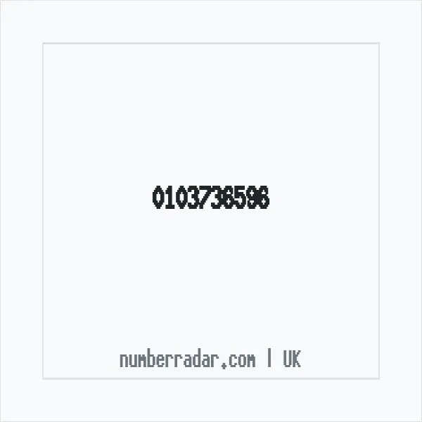 Reverse number check for +44 103736596 — who called me?