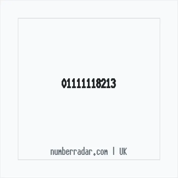 Reverse number check for +44 1111 118213 — who called me?