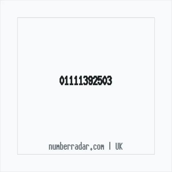 Reverse number check for +44 1111 392503 — who called me?