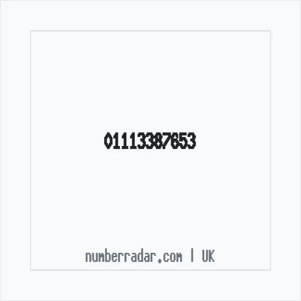 Reverse number check for +44 1113 387653 — who called me?