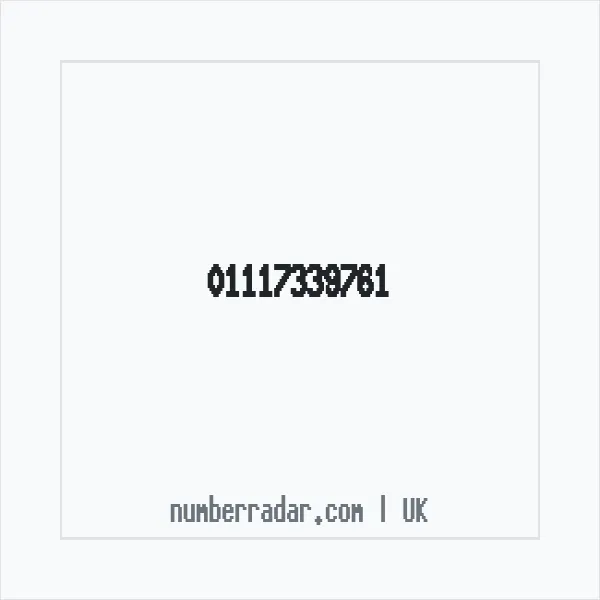 Reverse number check for +44 1117 339761 — who called me?