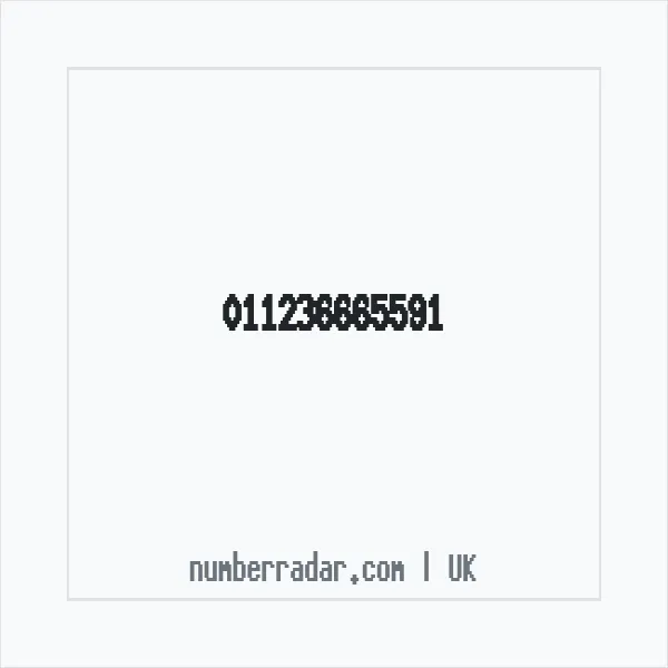 Reverse number check for +44 (1123) 666-559 — who called me?