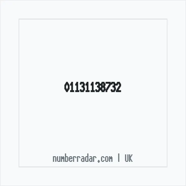 Reverse number check for +44 113 113 8732 — who called me?