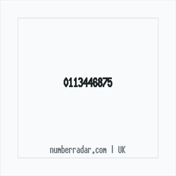 Reverse number check for +44 113446875 — who called me?