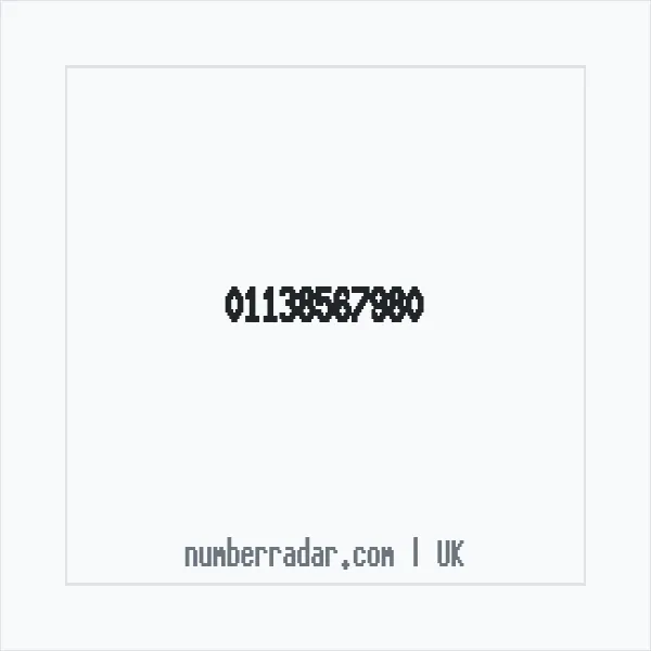 Reverse number check for +44 113 856 7980 — who called me?