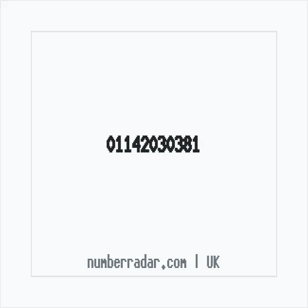 Reverse number check for +44 114 203 0381 — who called me?