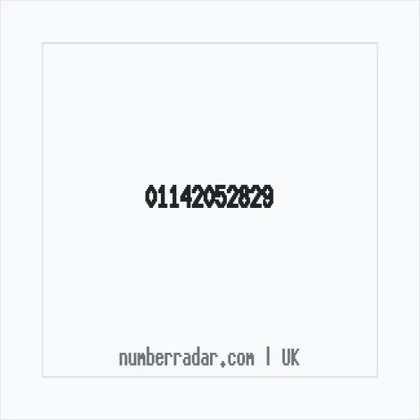 Reverse number check for +44 114 205 2829 — who called me?