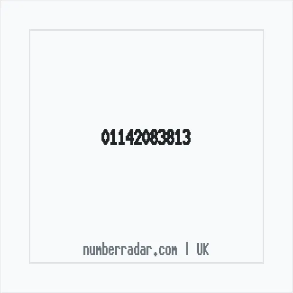 Reverse number check for +44 114 208 3813 — who called me?