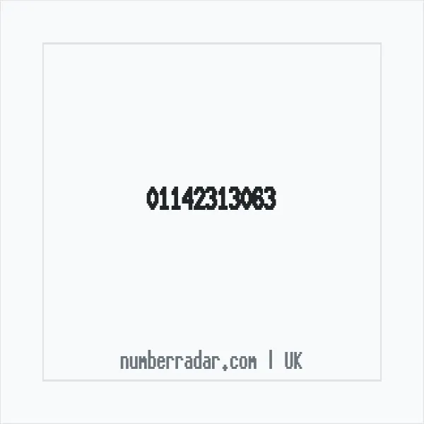 Reverse number check for +44 114 231 3063 — who called me?