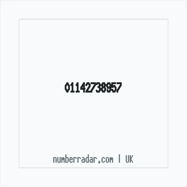Reverse number check for +44 114 273 8957 — who called me?